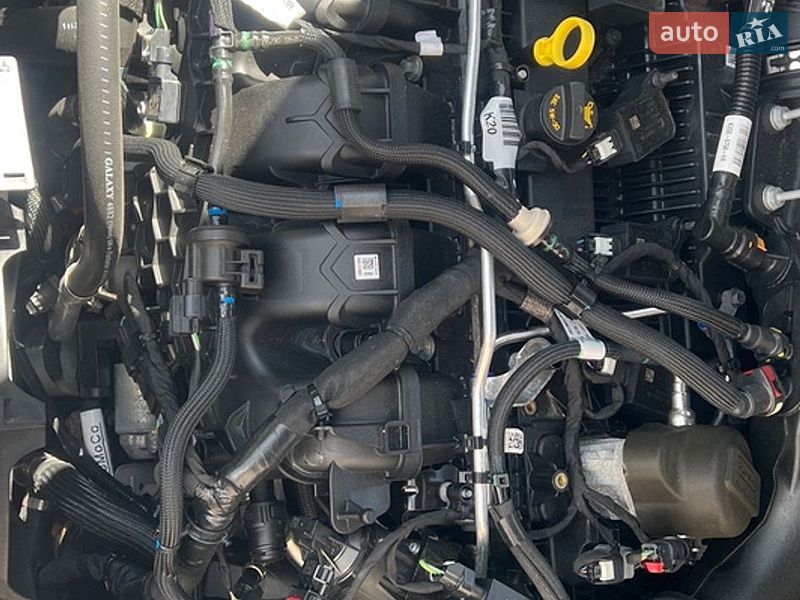 Позашляховик / Кросовер Ford Escape 2022 в Івано-Франківську