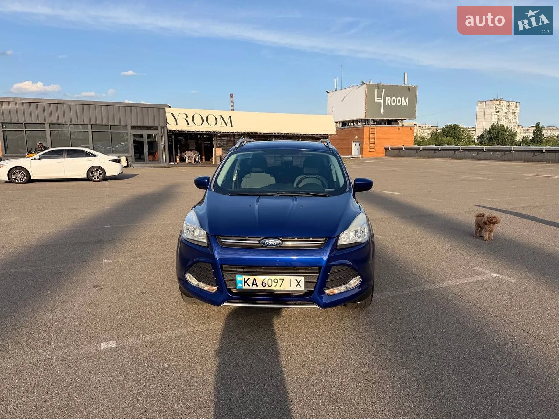 2014 Ford Escape - мініатюра 9