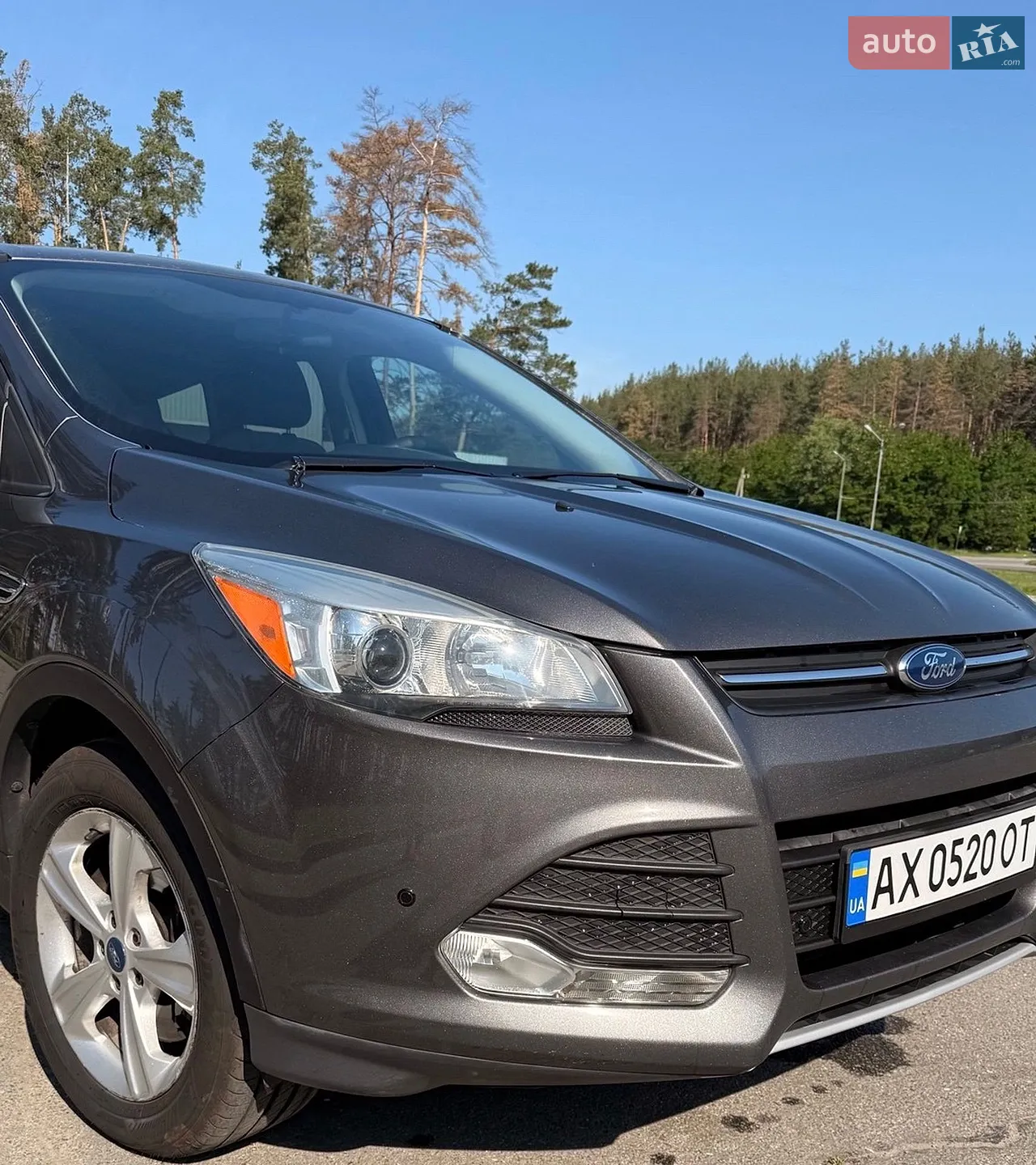 2013 Ford Escape - мініатюра 2