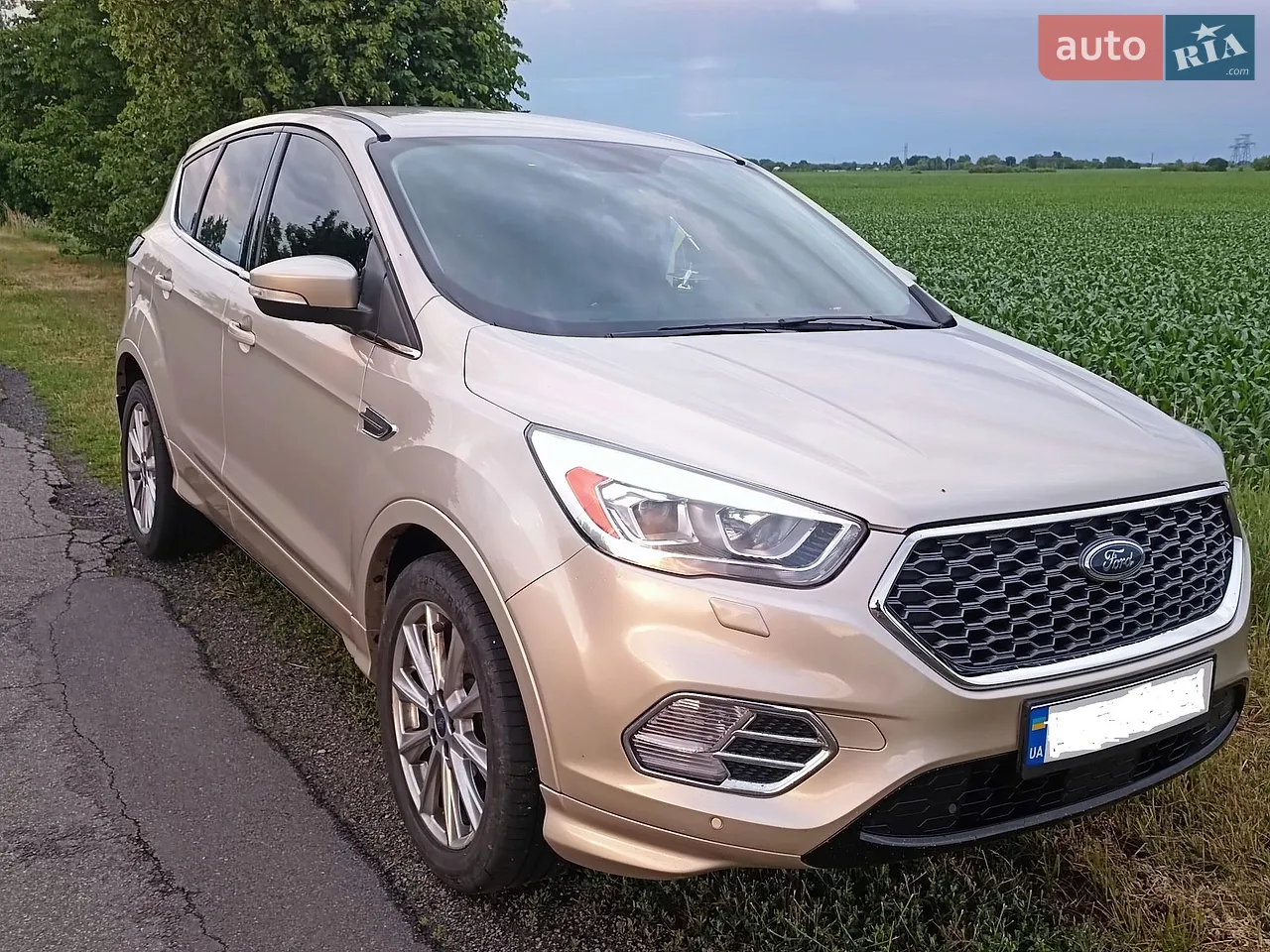 2019 Ford Escape - мініатюра 13