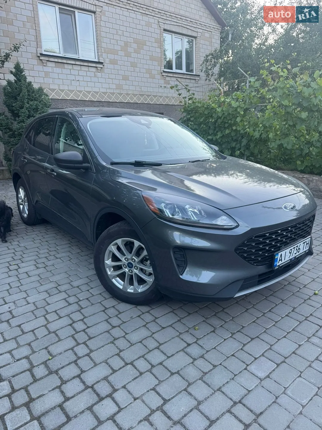 2022 Ford Escape - мініатюра 2