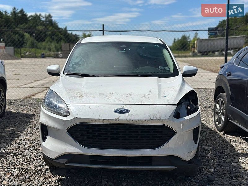 Позашляховик / Кросовер Ford Escape 2019 в Львові