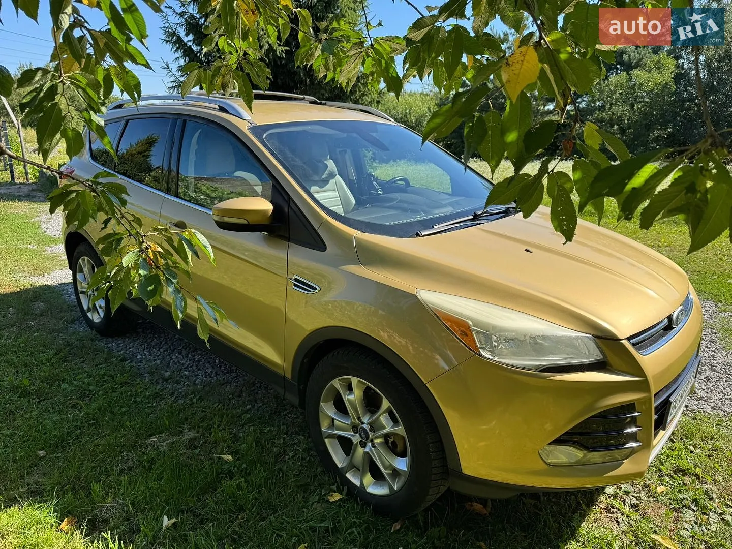 2014 Ford Escape - фото 1