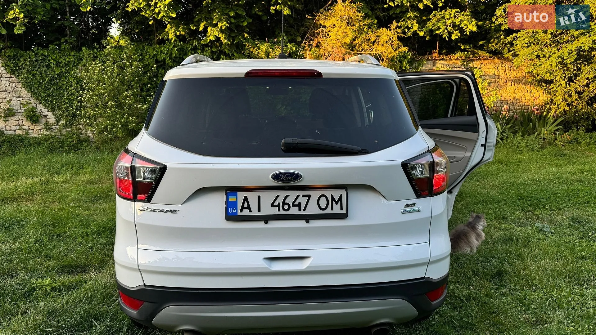 2017 Ford Escape - мініатюра 20