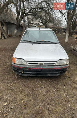Хетчбек Ford Escort 1991 в Богородчанах