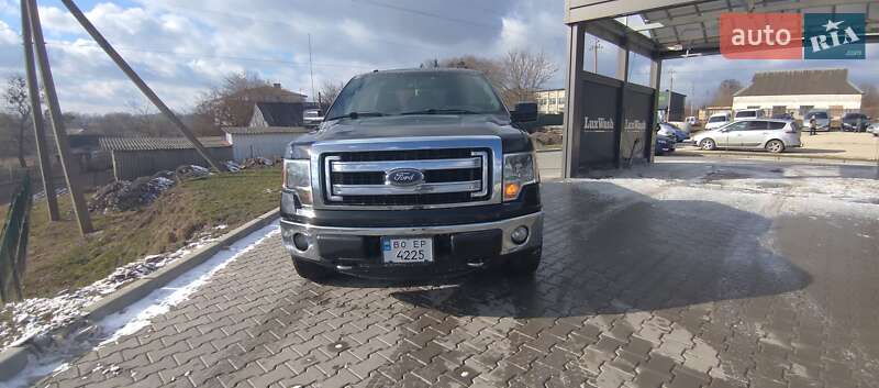 Пикап Ford F-150 2013 в Шумске