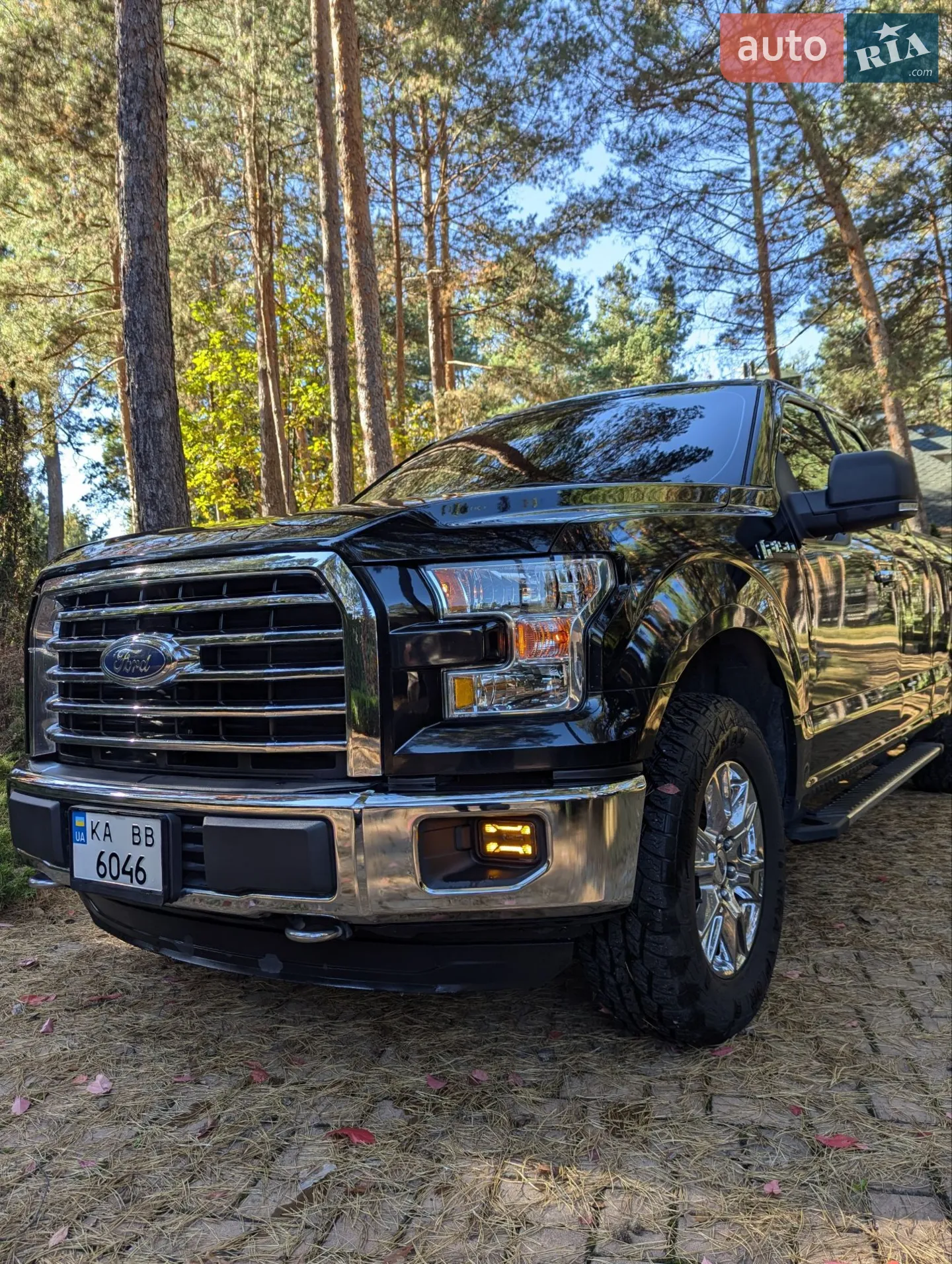 2016 Ford F-150 - мініатюра 12