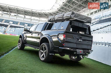 Пикап Ford F-150 2014 в 