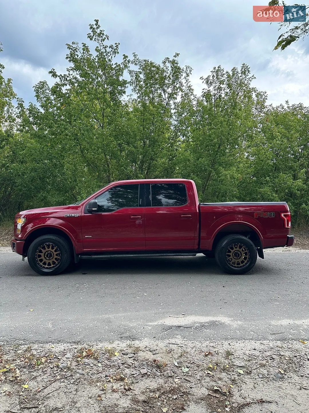 2015 Ford F-150 - мініатюра 8
