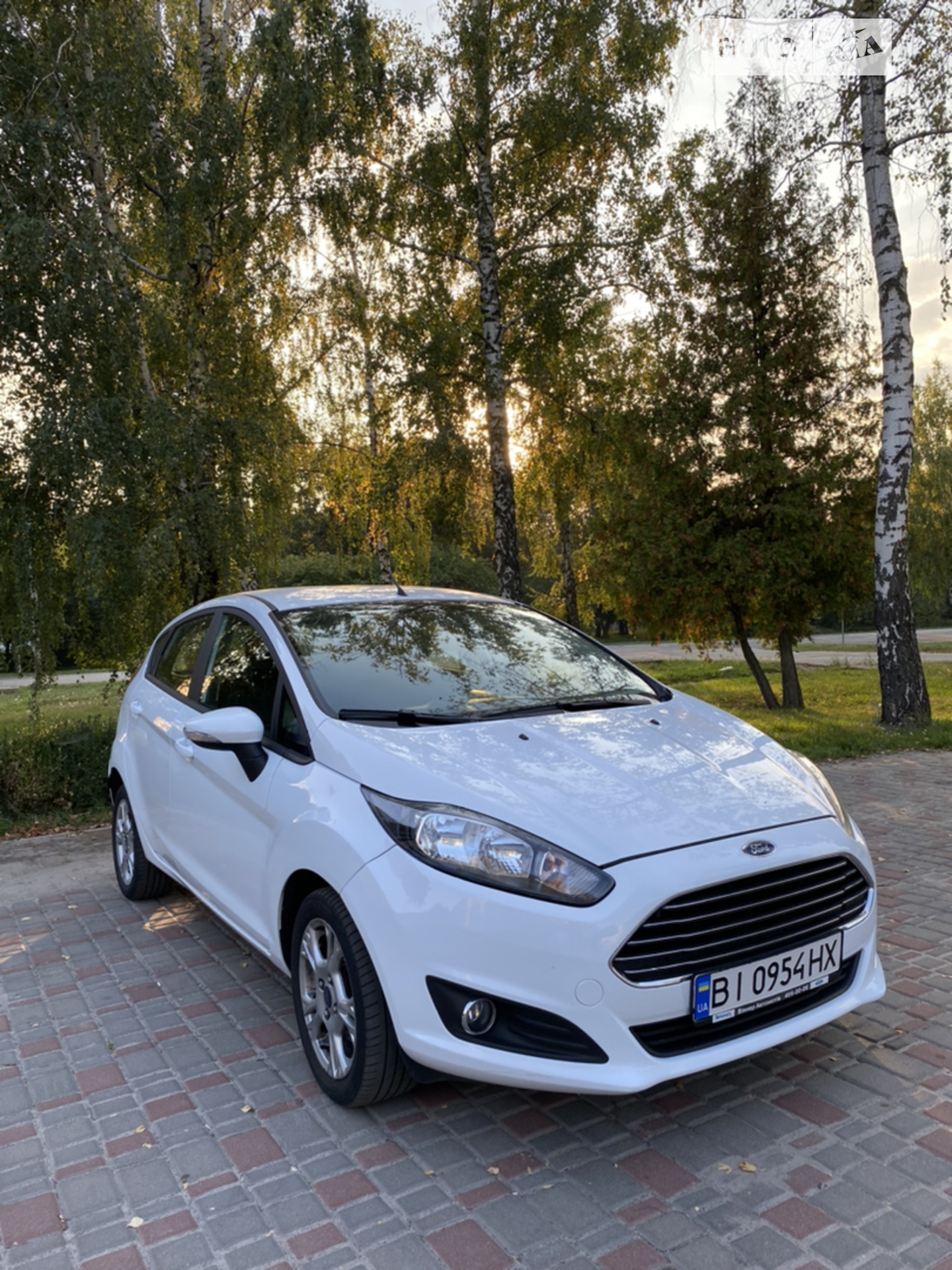 2015 Ford Fiesta - фото 1