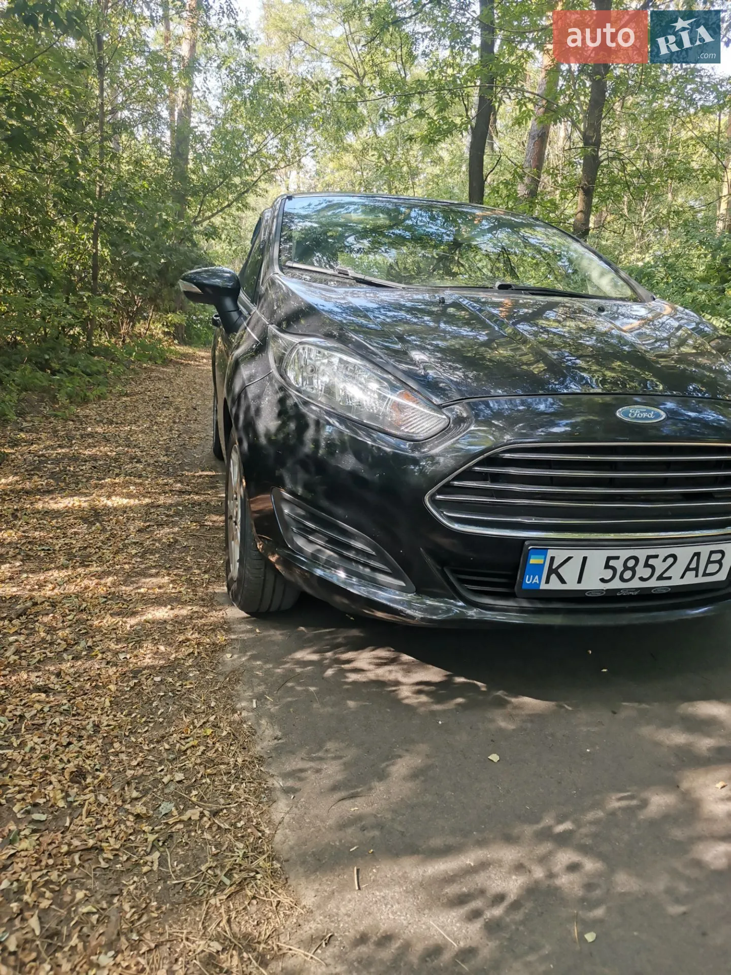 2016 Ford Fiesta - фото 1