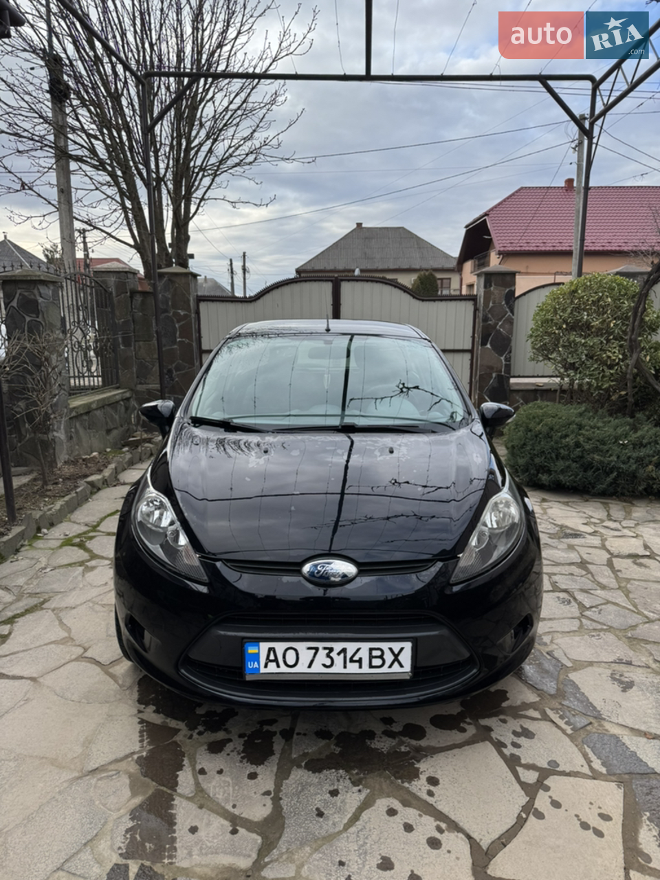 2010 Ford Fiesta - мініатюра 8