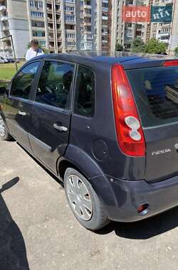 Хэтчбек Ford Fiesta 2007 в 