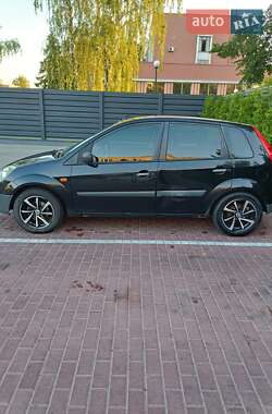Хэтчбек Ford Fiesta 2008 в 