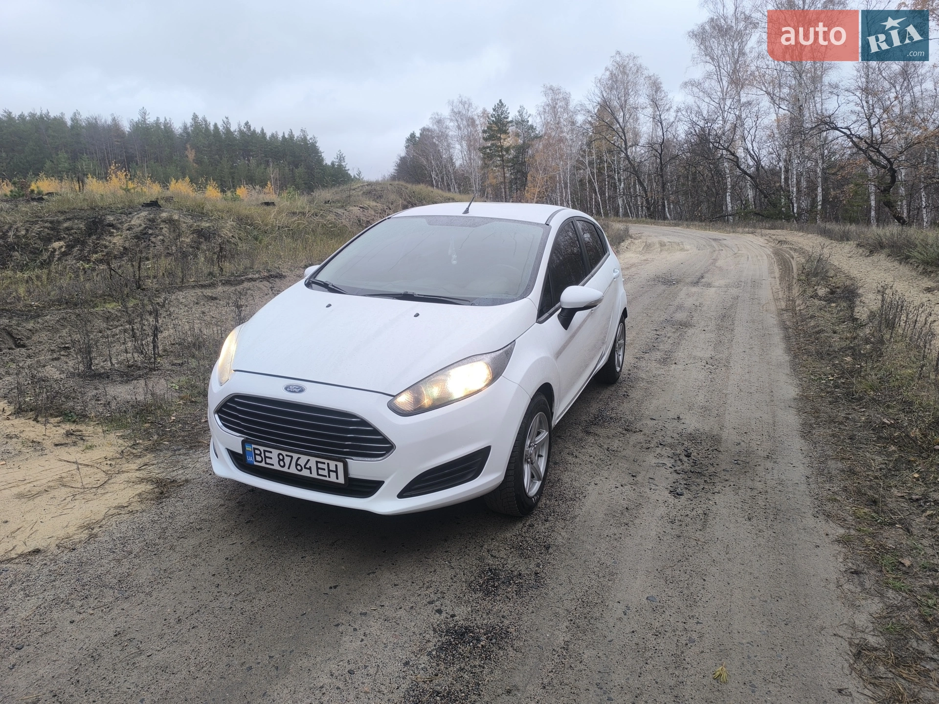 2013 Ford Fiesta - мініатюра 38