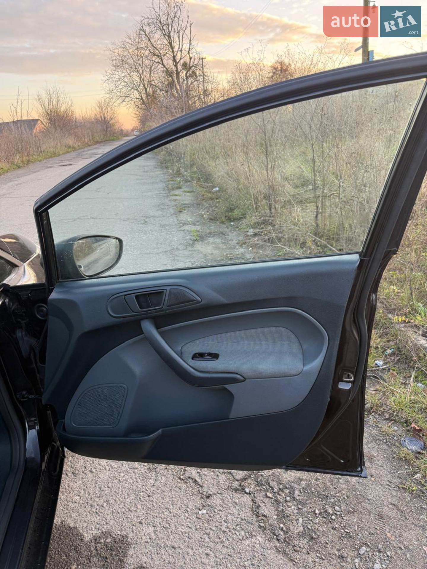 2010 Ford Fiesta - мініатюра 11