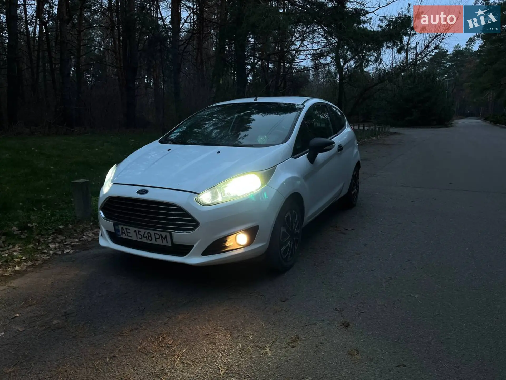 2013 Ford Fiesta - мініатюра 15