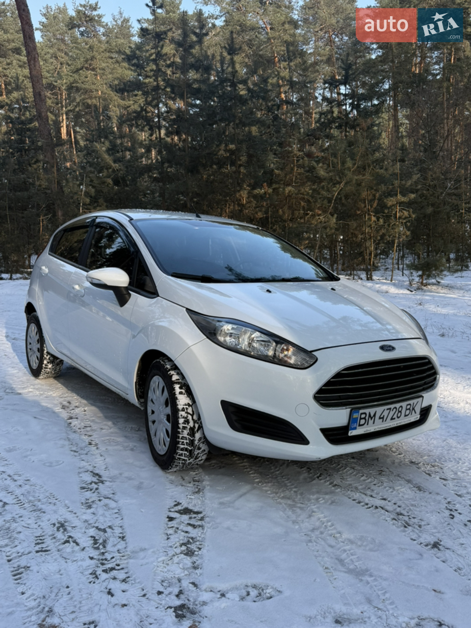 2013 Ford Fiesta - мініатюра 16