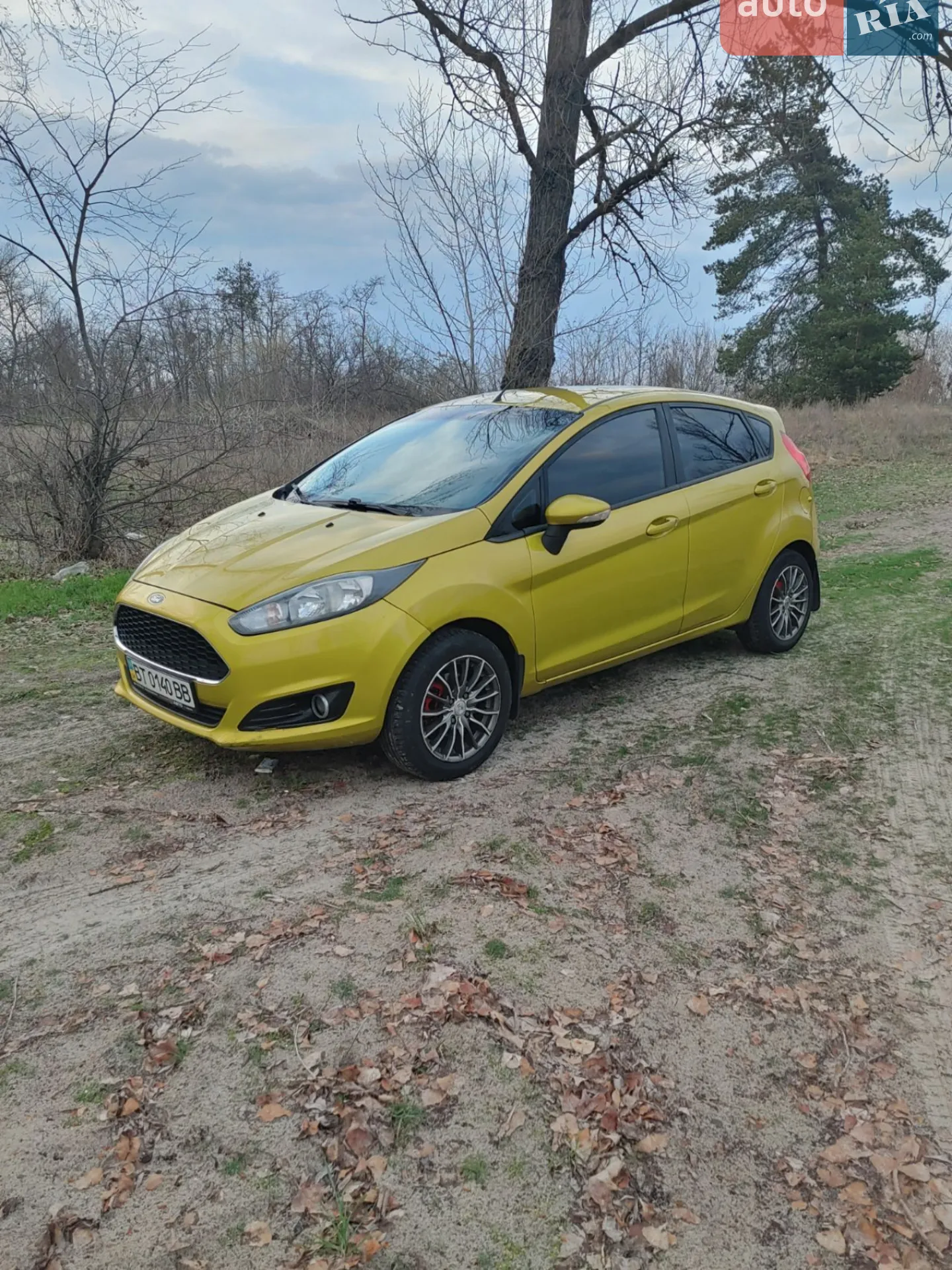 2013 Ford Fiesta - мініатюра 12