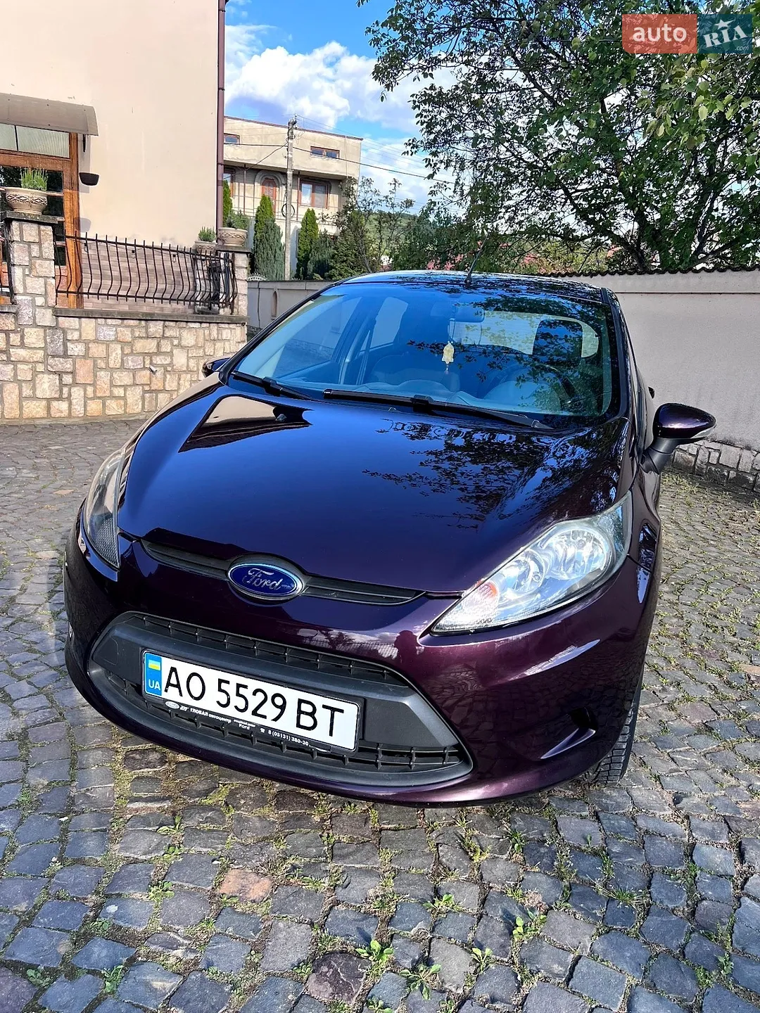 2010 Ford Fiesta - мініатюра 2