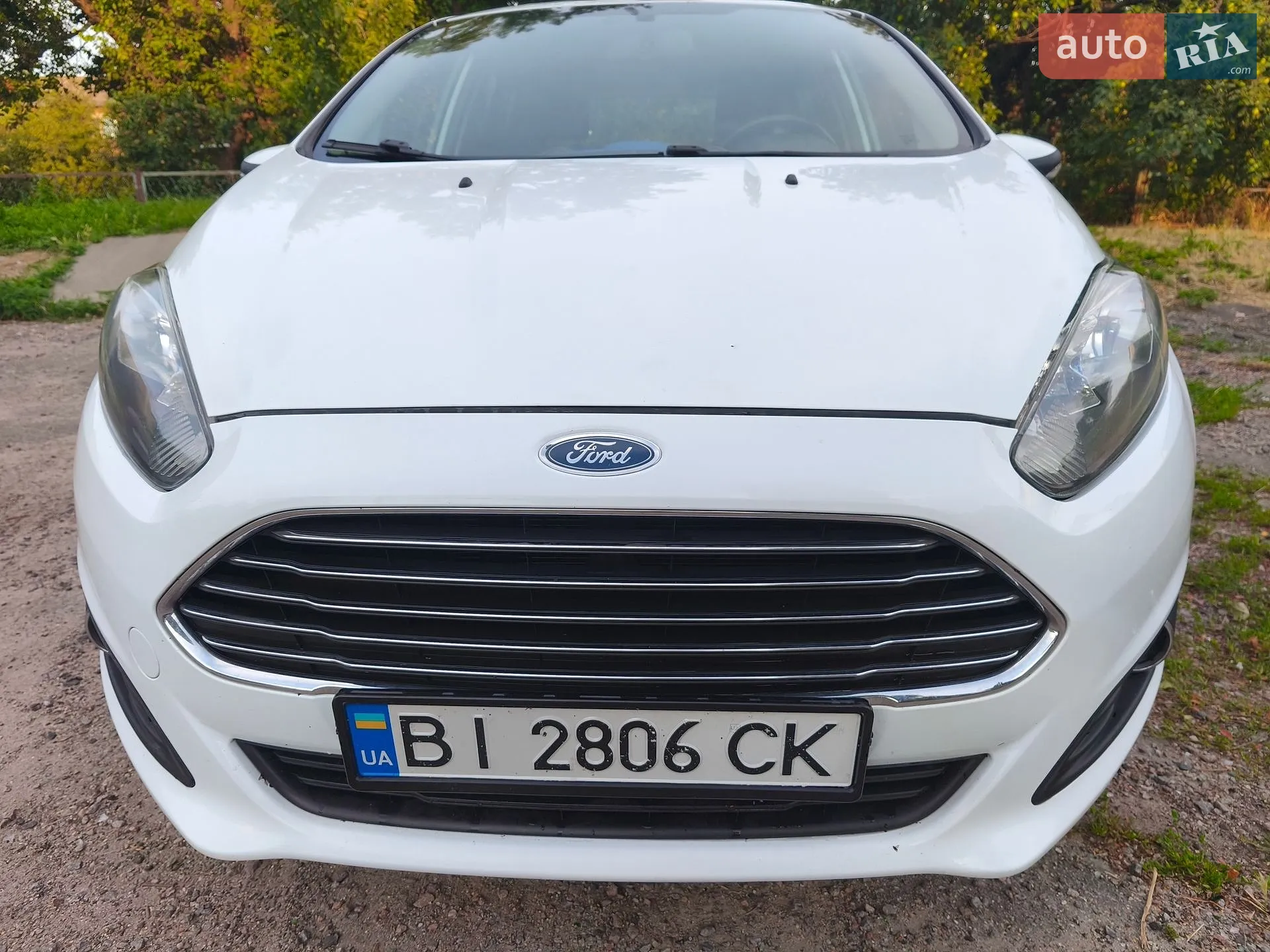 2013 Ford Fiesta - мініатюра 13