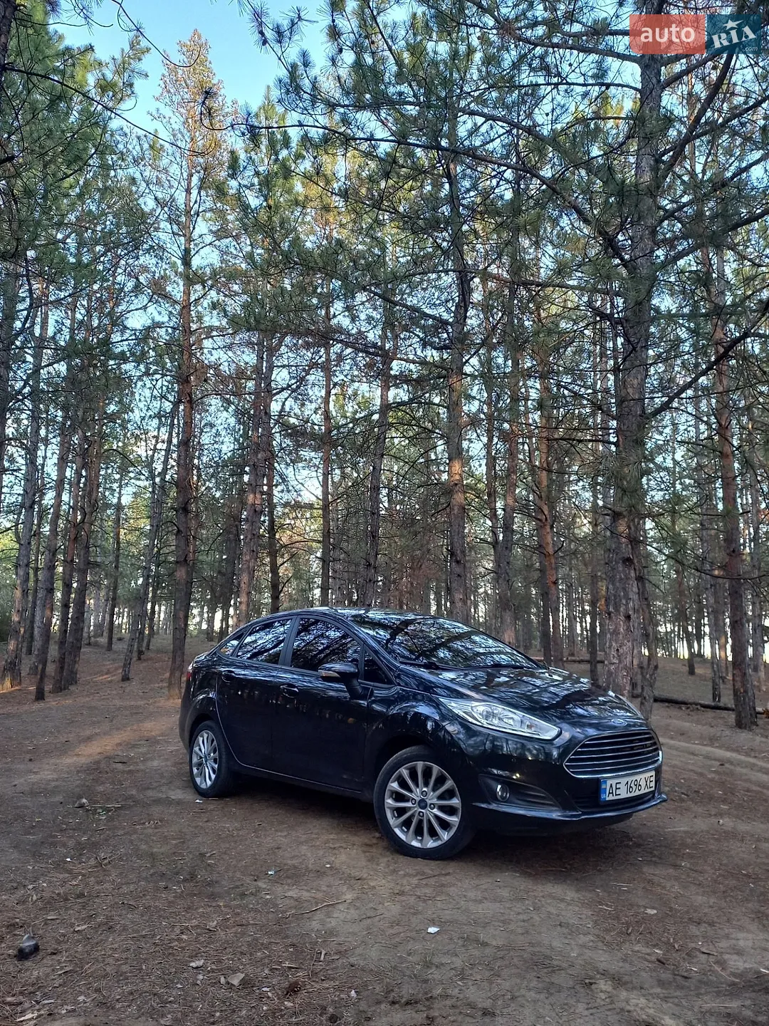 2013 Ford Fiesta - фото 1