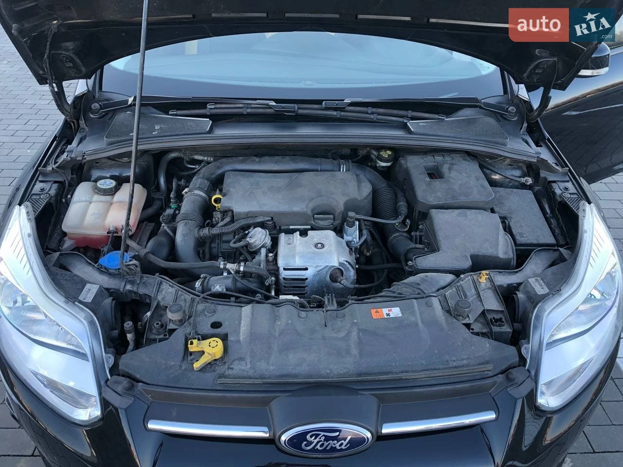 2012 Ford Focus - мініатюра 22
