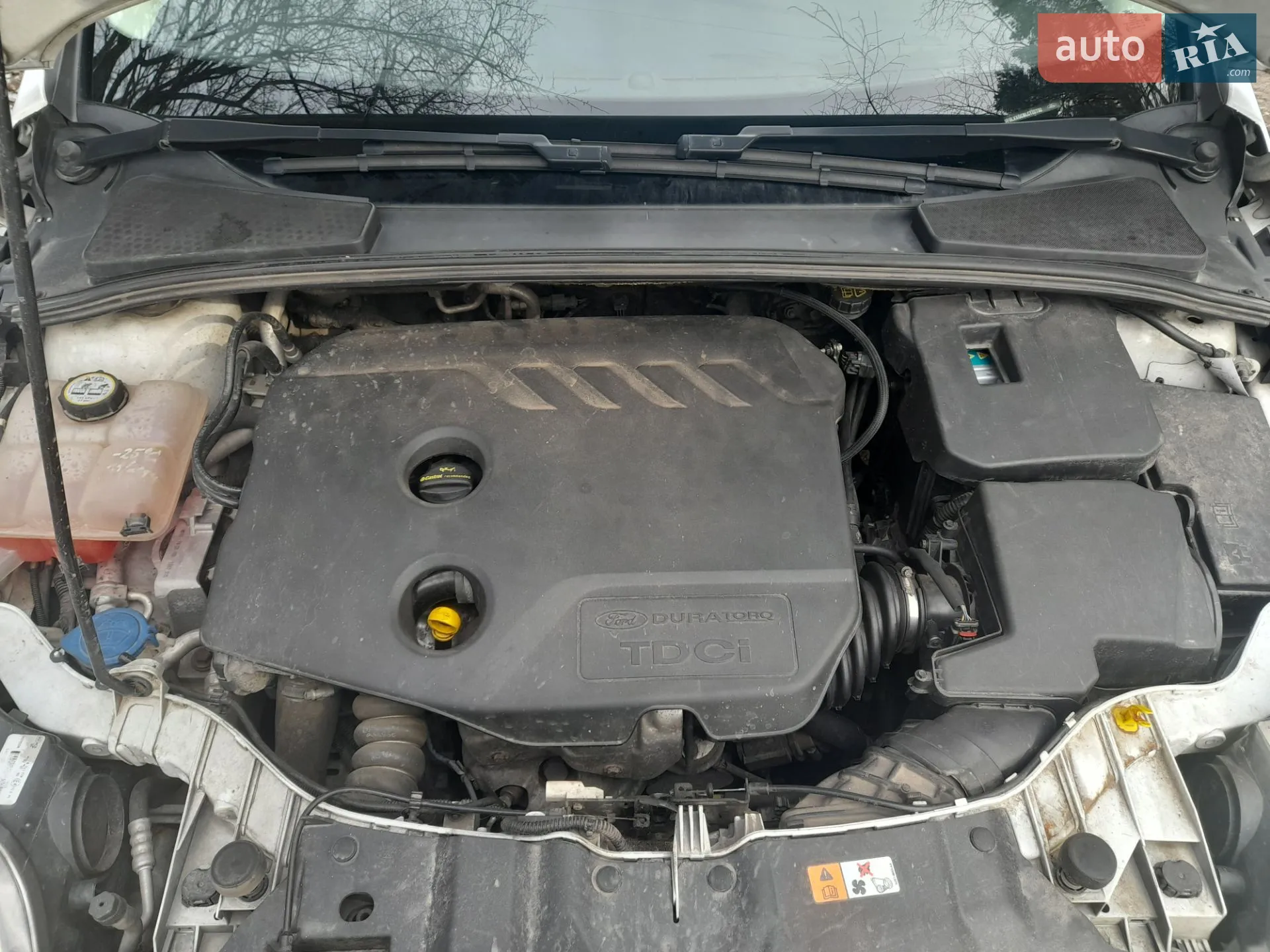 2012 Ford Focus - мініатюра 19