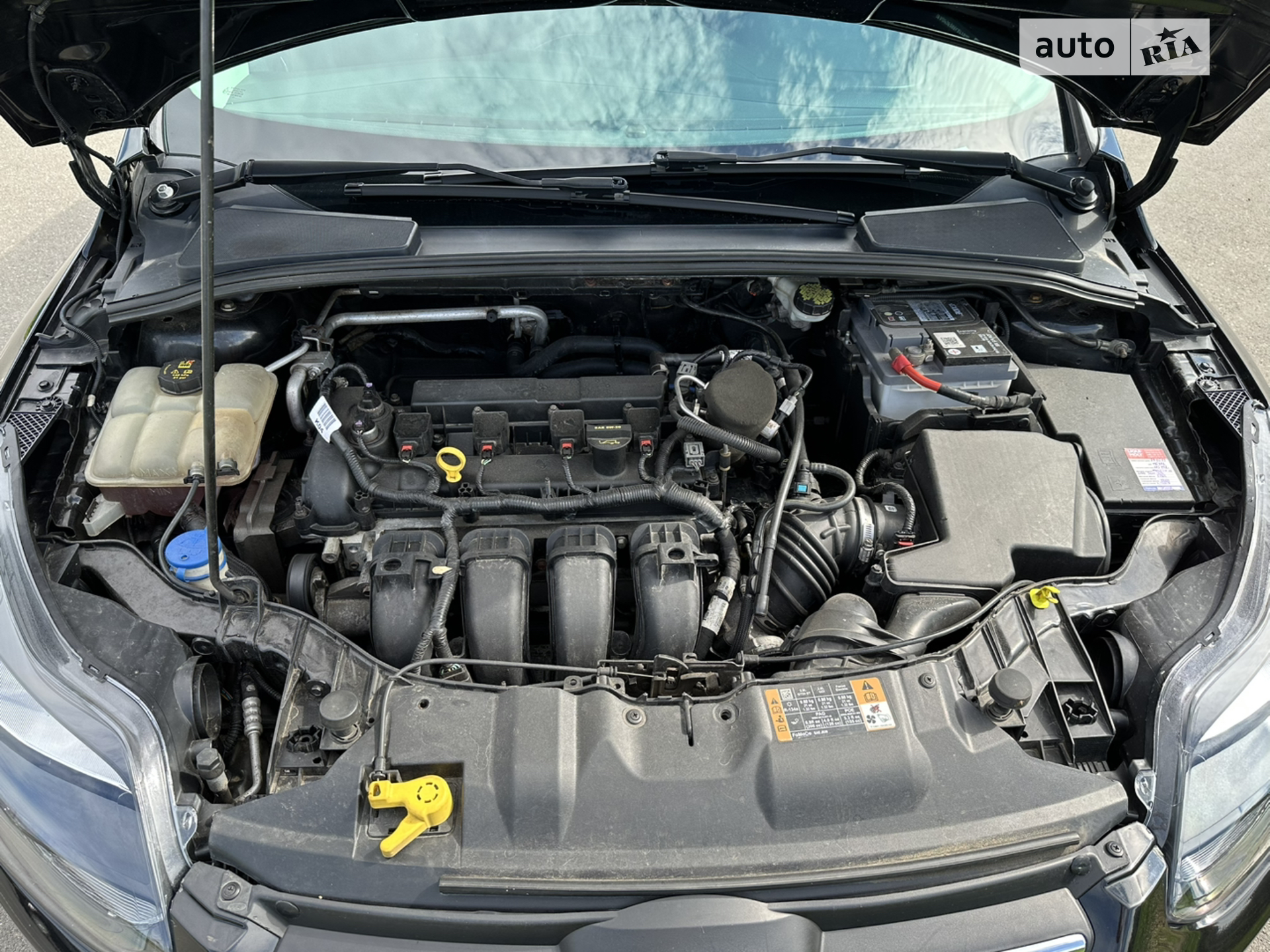 2014 Ford Focus - мініатюра 8