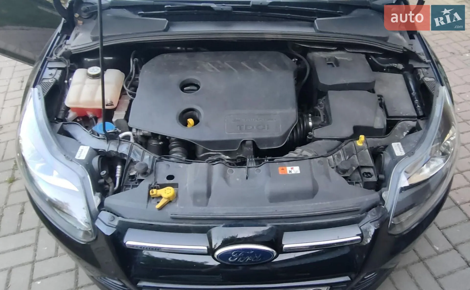 2012 Ford Focus - мініатюра 13