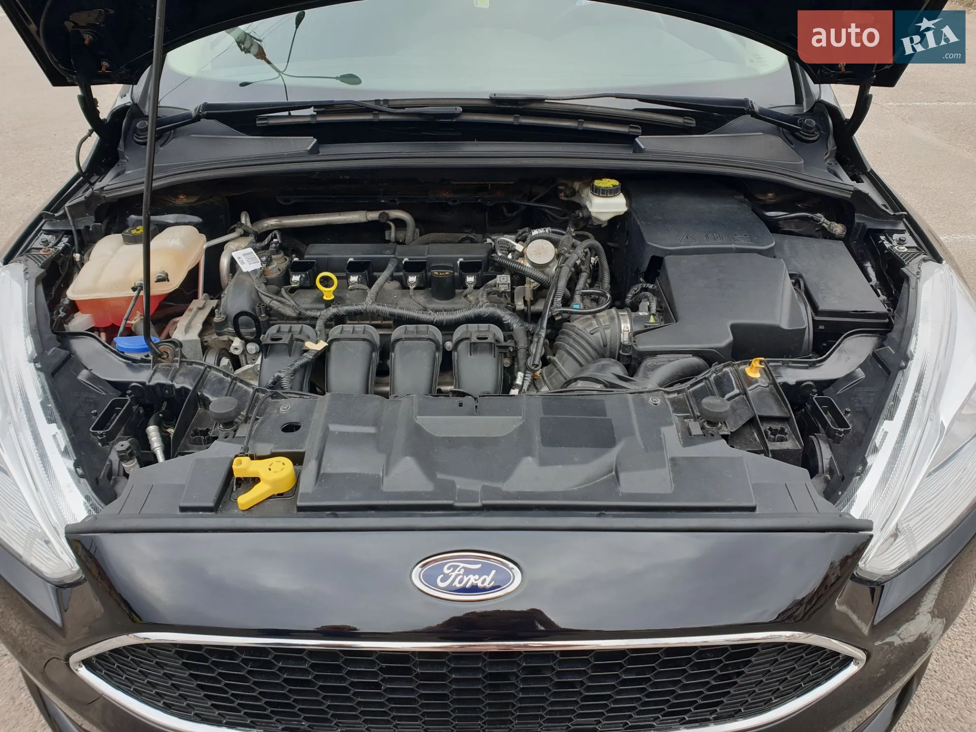 2016 Ford Focus - мініатюра 16