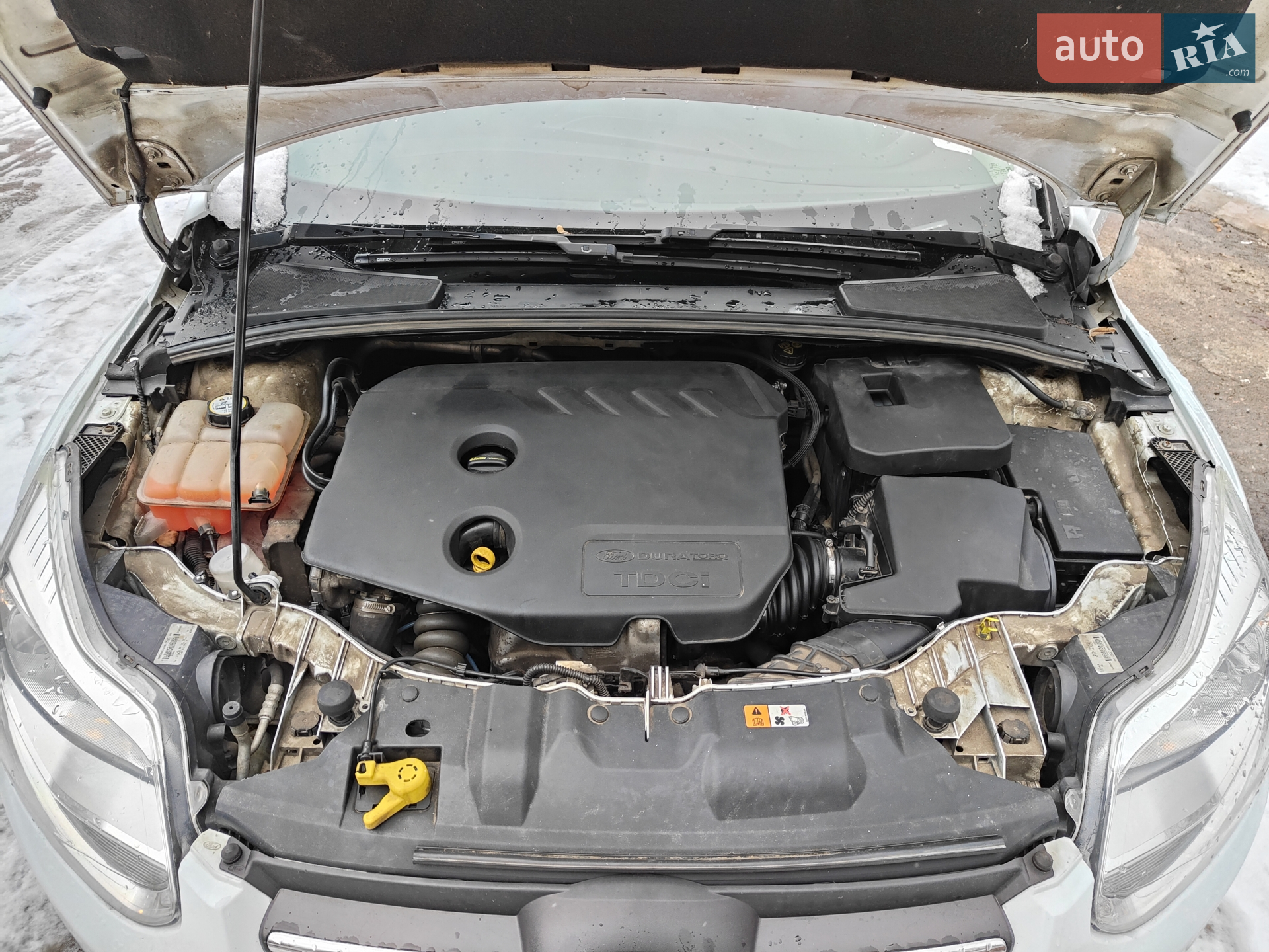 2014 Ford Focus - мініатюра 10
