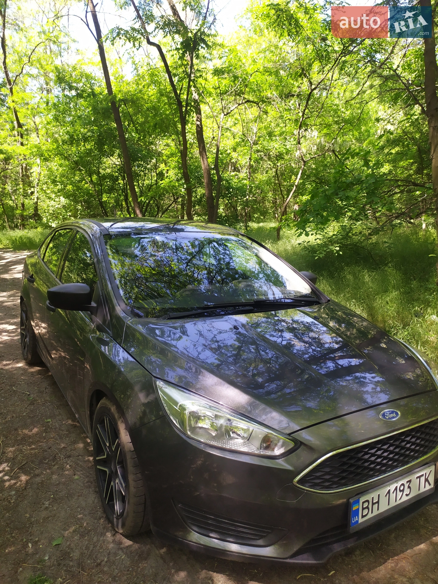 2015 Ford Focus - мініатюра 12