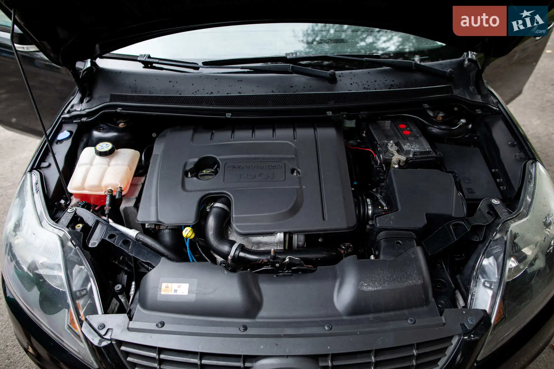 2010 Ford Focus - мініатюра 16