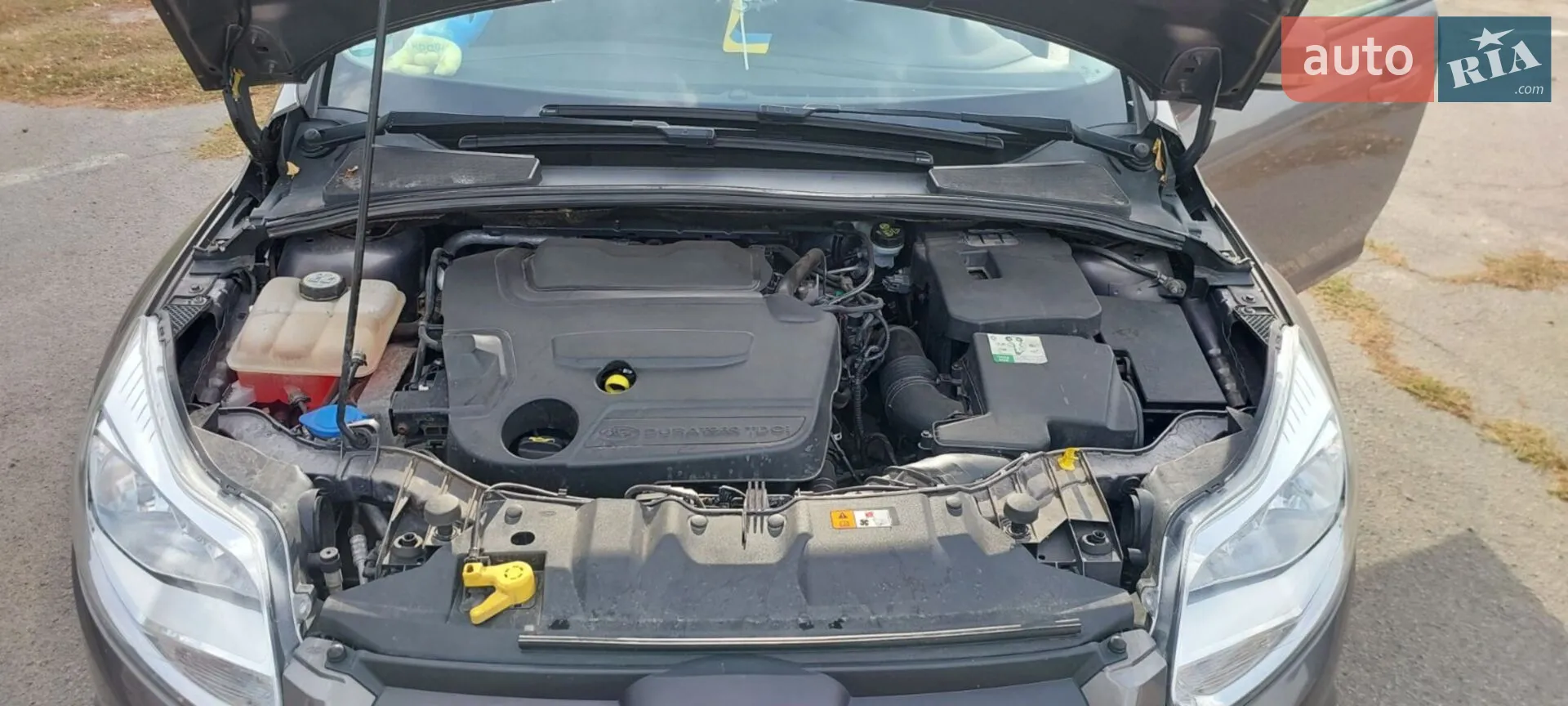 2013 Ford Focus - мініатюра 27