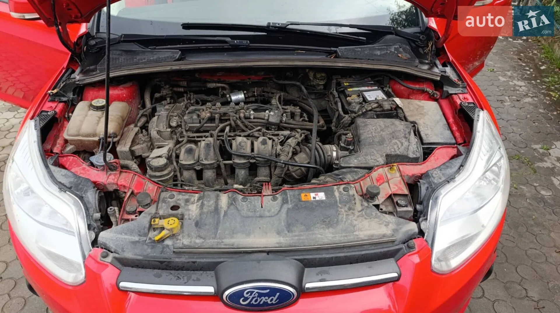 2013 Ford Focus - мініатюра 5
