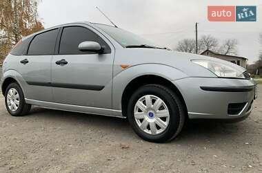 Хэтчбек Ford Focus 2004 в Теофиполе