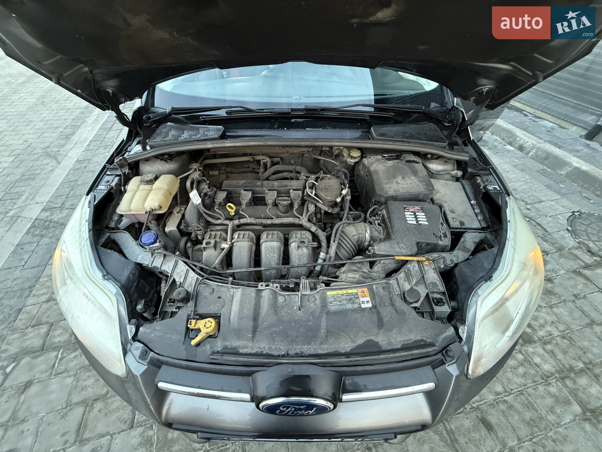 2012 Ford Focus - мініатюра 2