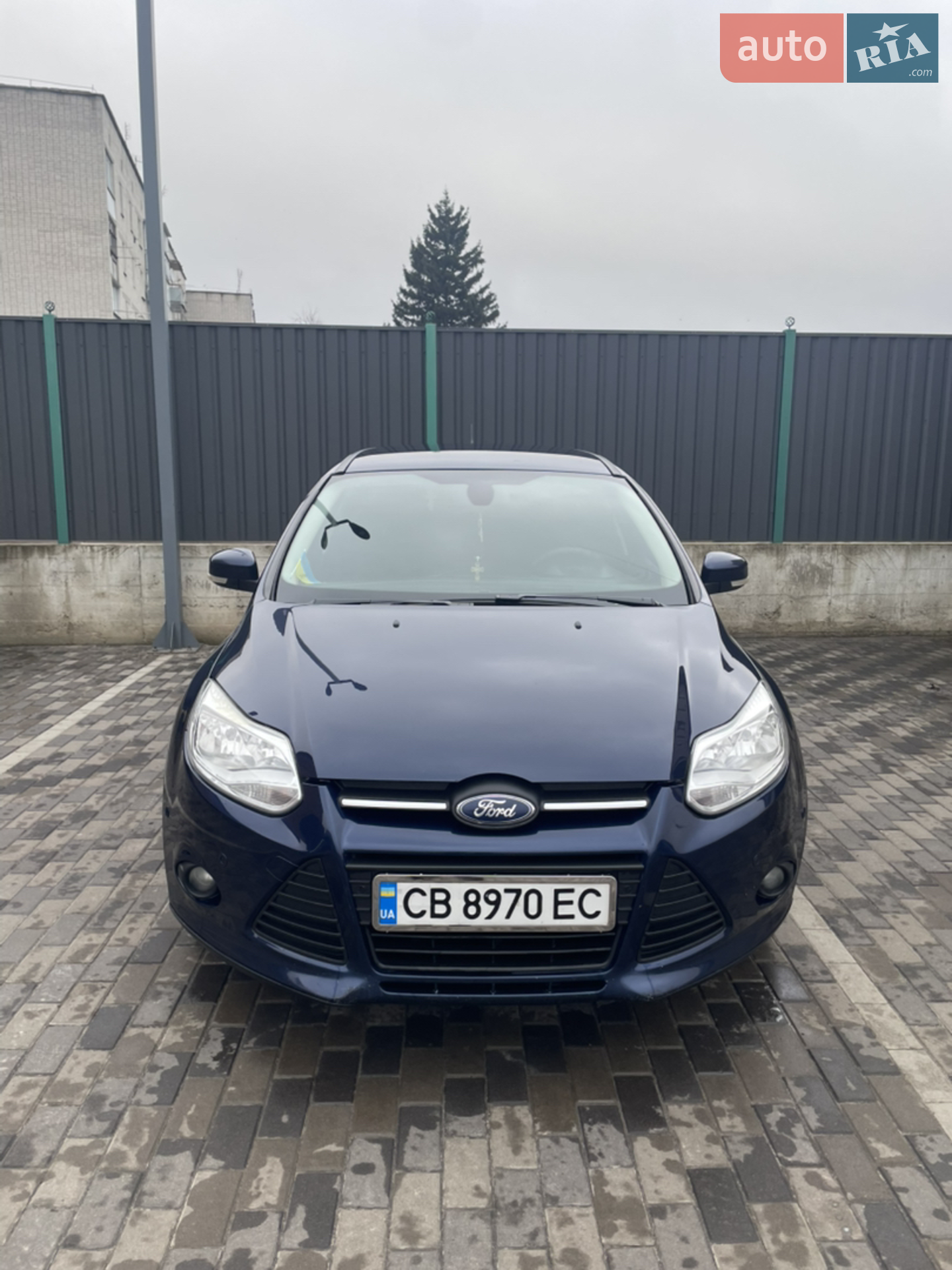 2013 Ford Focus - фото 1