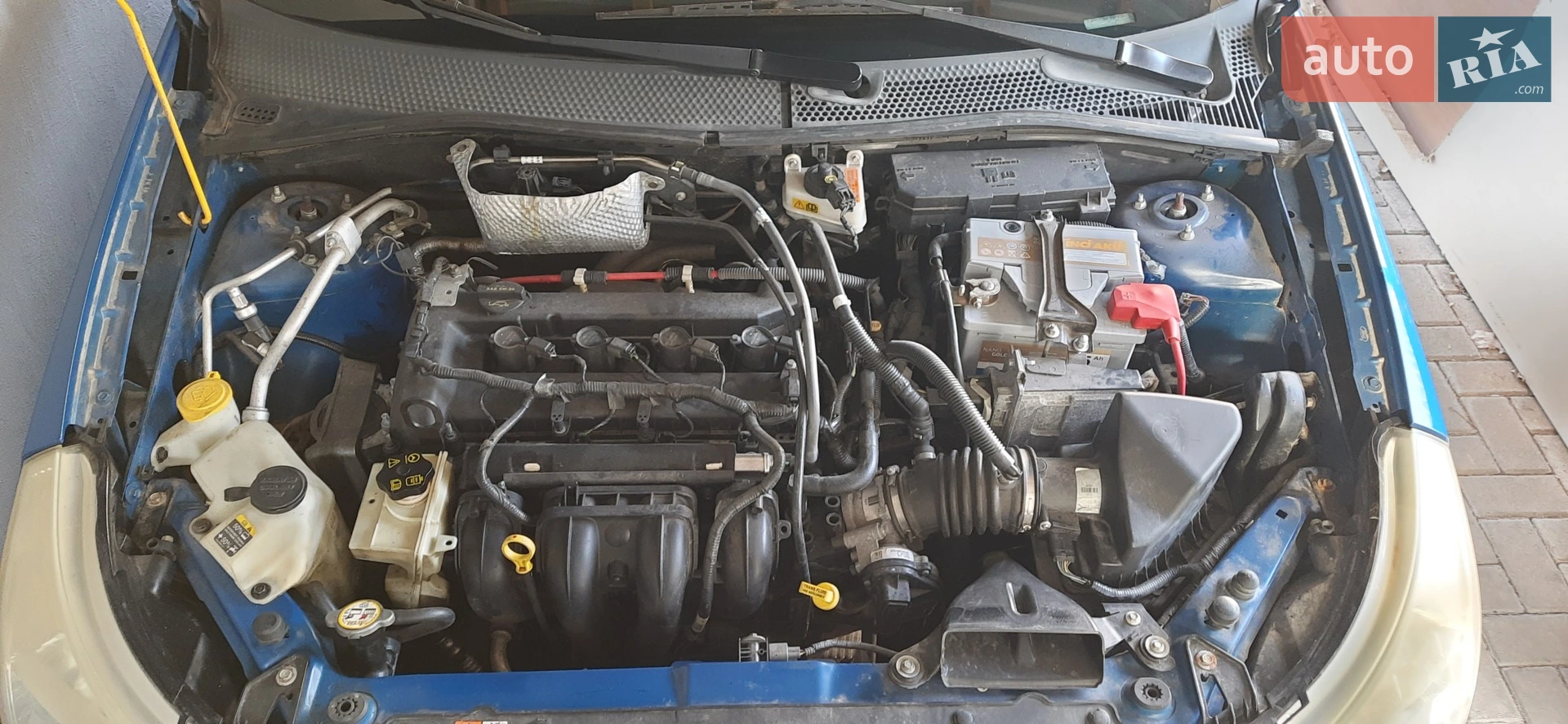 2010 Ford Focus - мініатюра 13