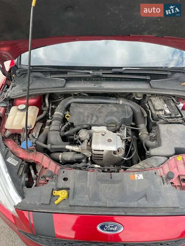 Хэтчбек Ford Focus 2015 в Андрушевке фото 18 Хэтчбек Ford Focus 2015 в Андрушевке