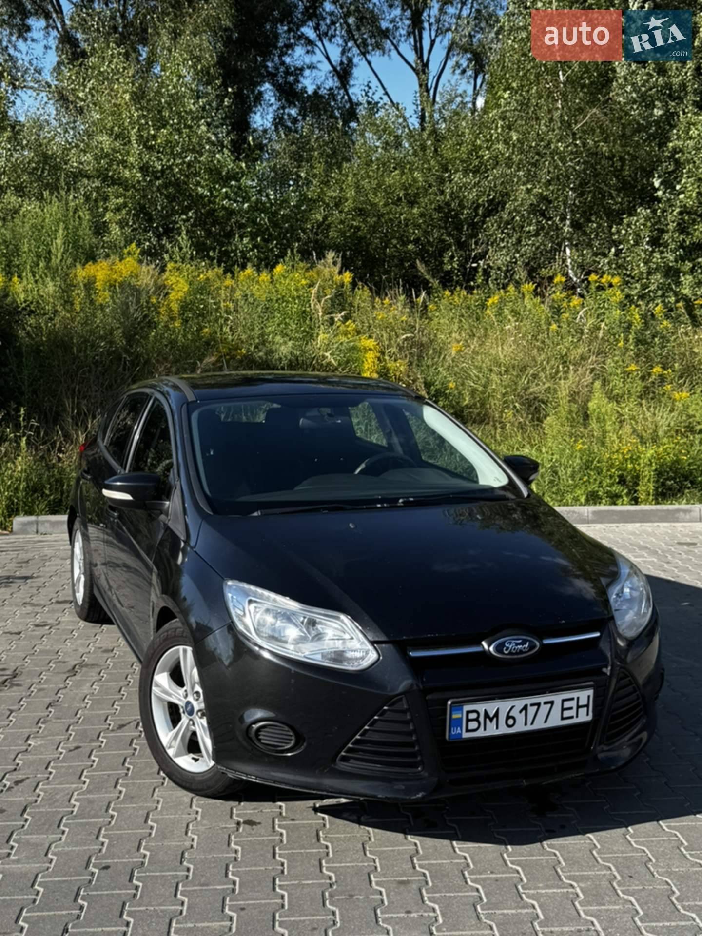 2014 Ford Focus - мініатюра 2