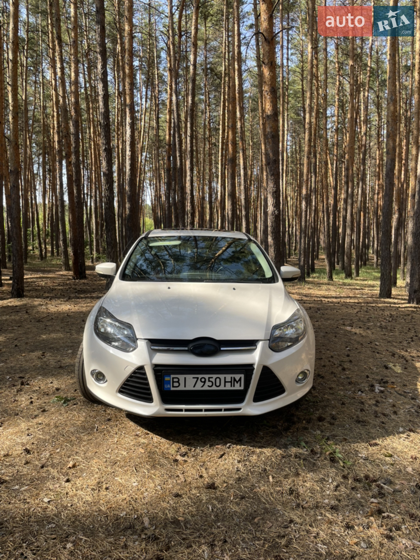 2012 Ford Focus - мініатюра 15