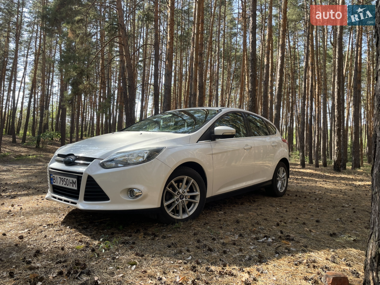 2013 Ford Focus - мініатюра 17