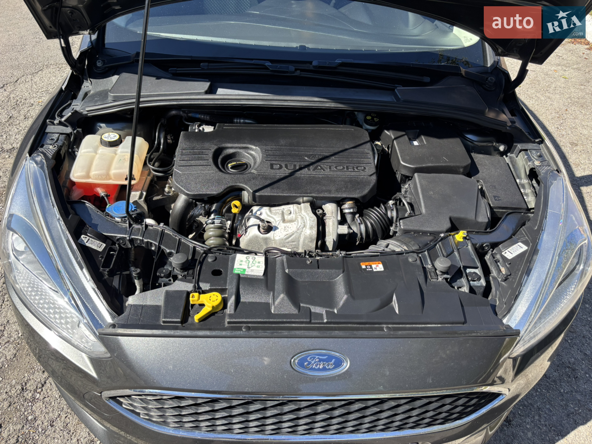 2016 Ford Focus - мініатюра 20