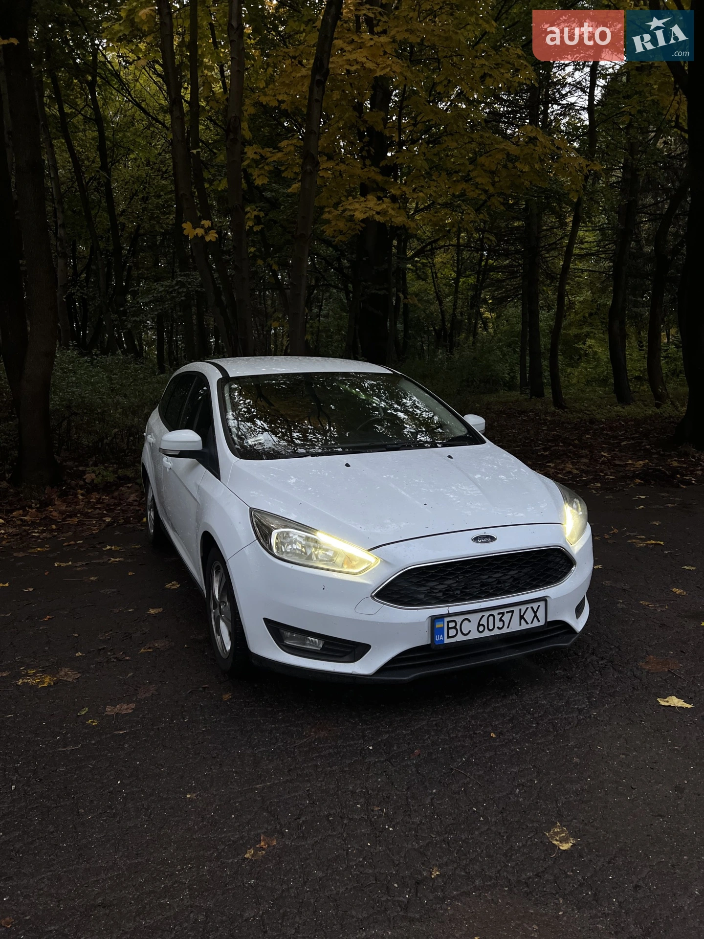 2015 Ford Focus - мініатюра 7