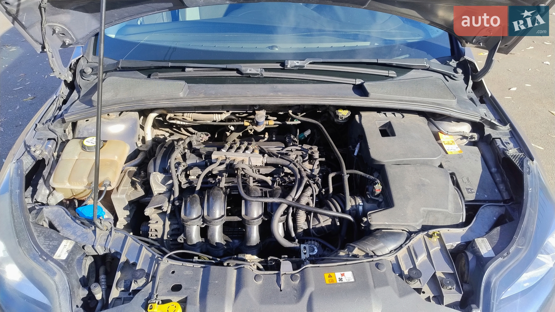 2011 Ford Focus - мініатюра 11