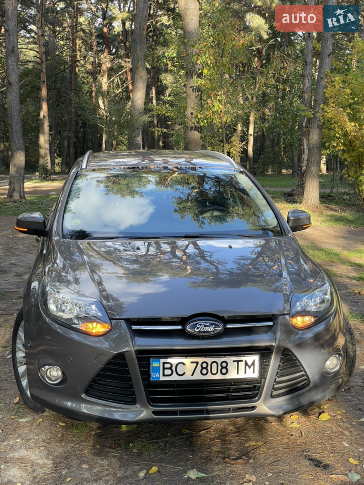 2013 Ford Focus - мініатюра 2