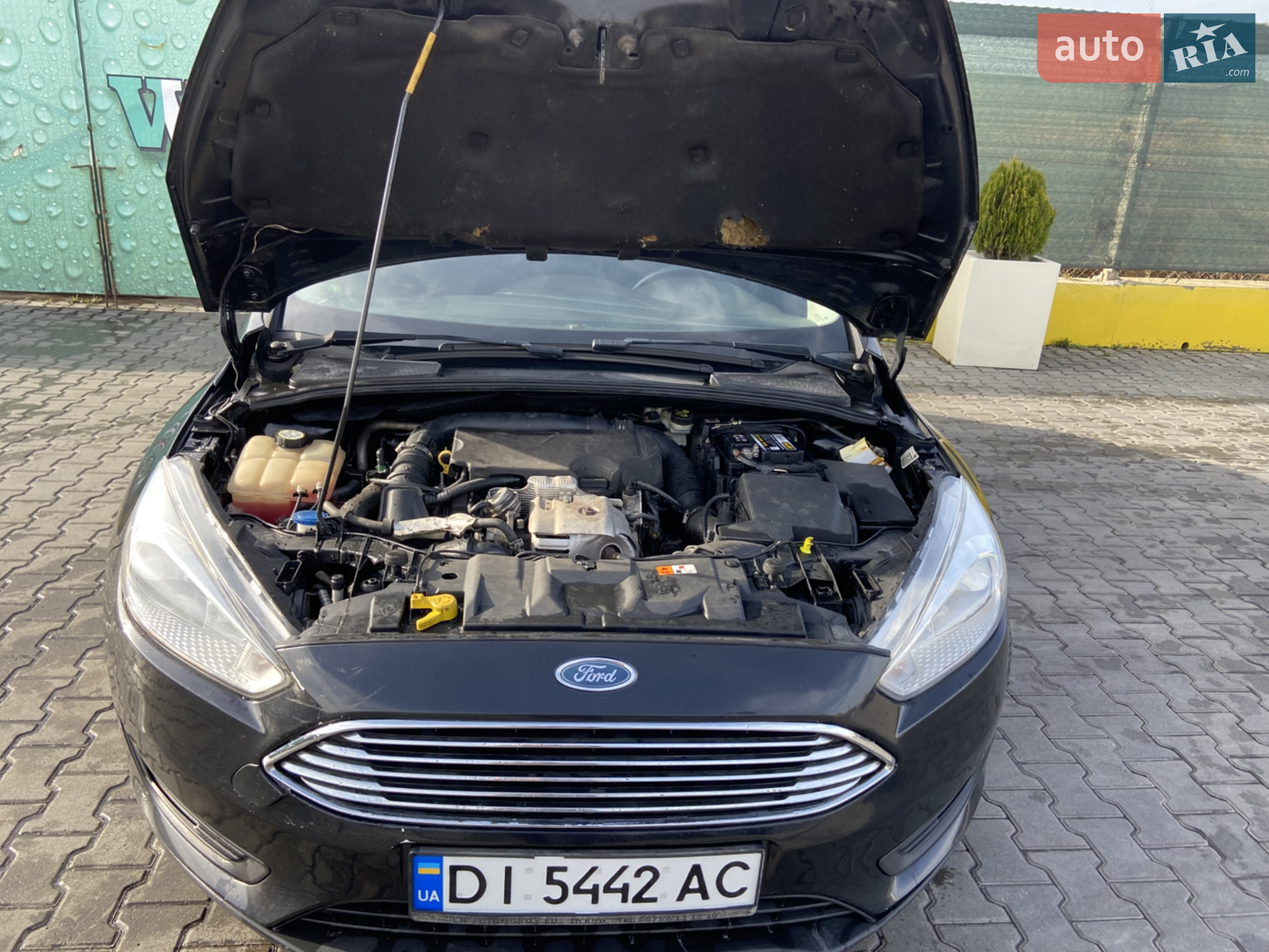 2015 Ford Focus - мініатюра 10
