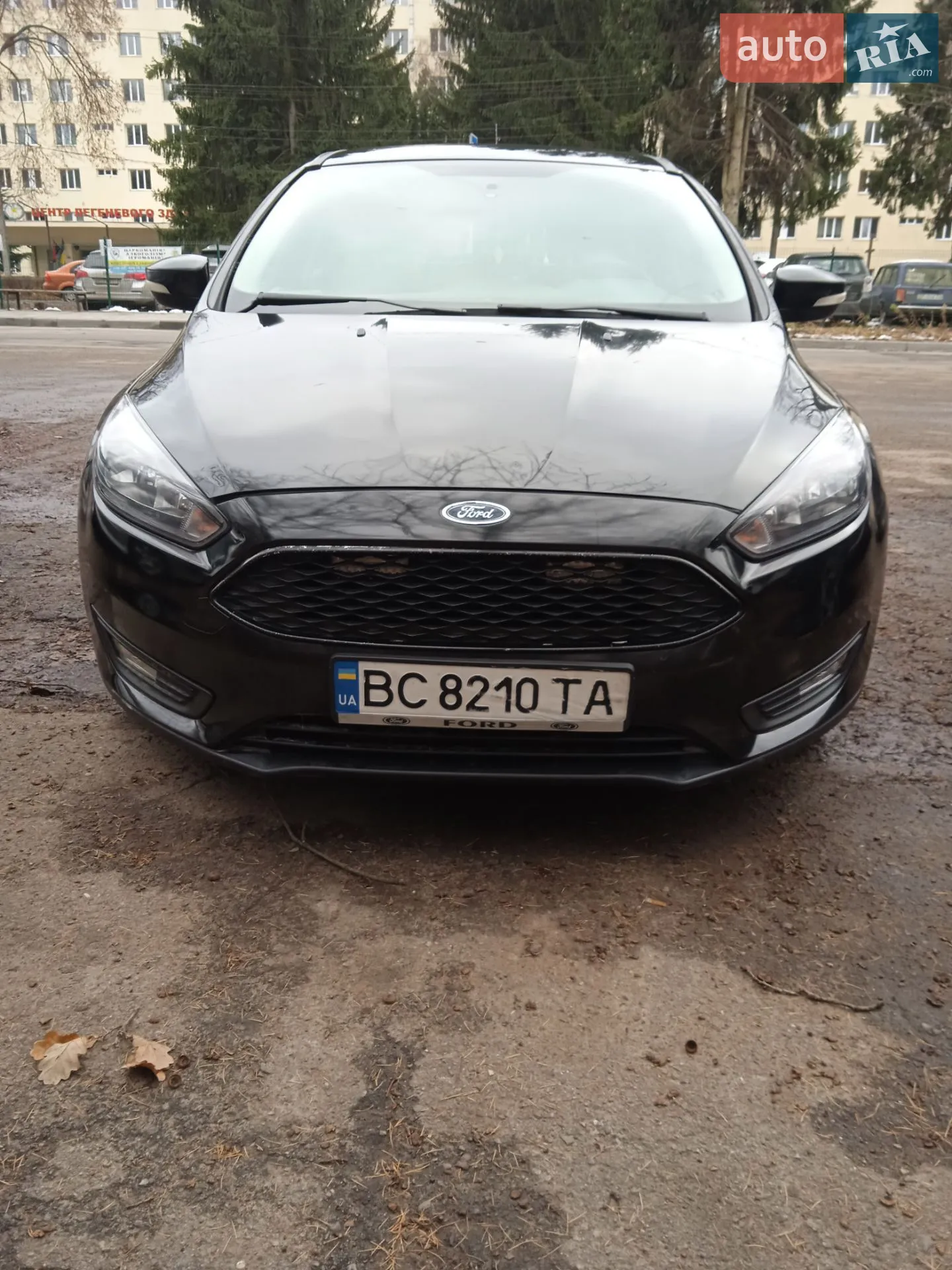 2015 Ford Focus - мініатюра 12